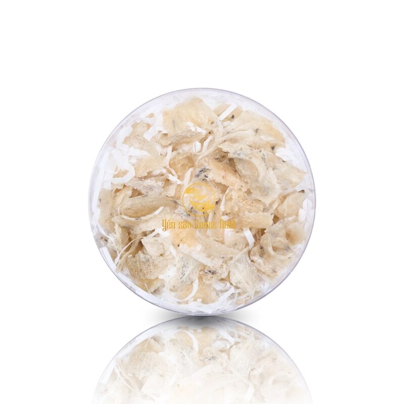 Chân Yến Thô Bể Dewis Nest Size lớn 100g