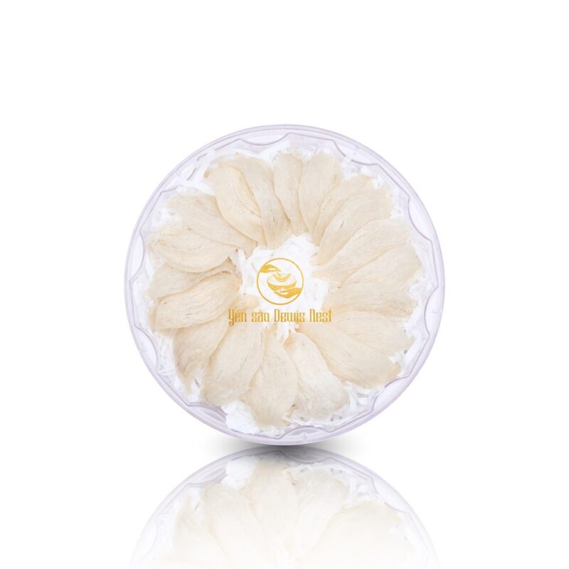 Yến rút lông khô Xuất Khẩu Thượng Hạng Dewis Nest 100% Nguyên Chất 100g
